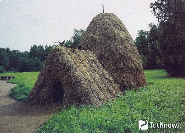 Шалаш из сена