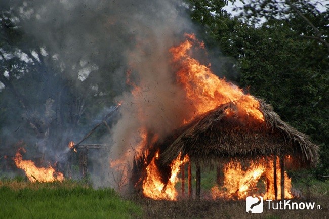 Пожар в шалаше