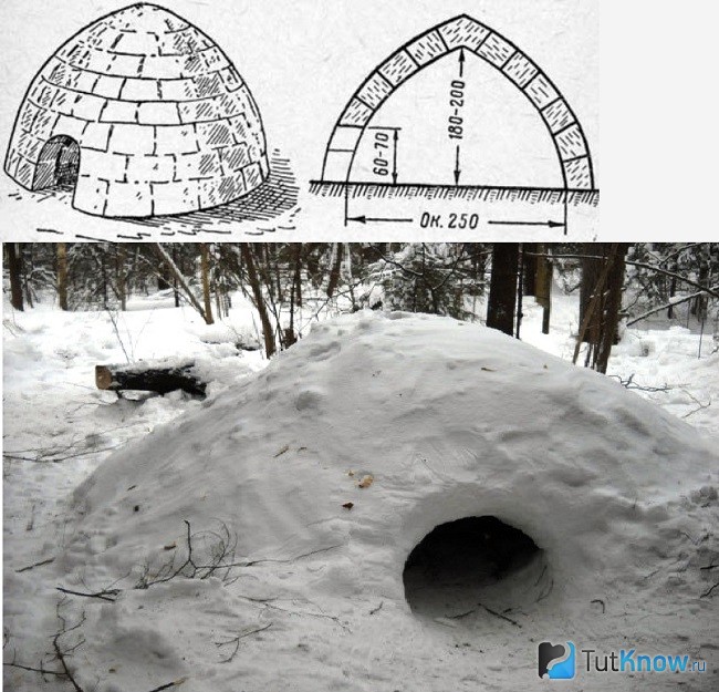 Шалаш из жердей и снега