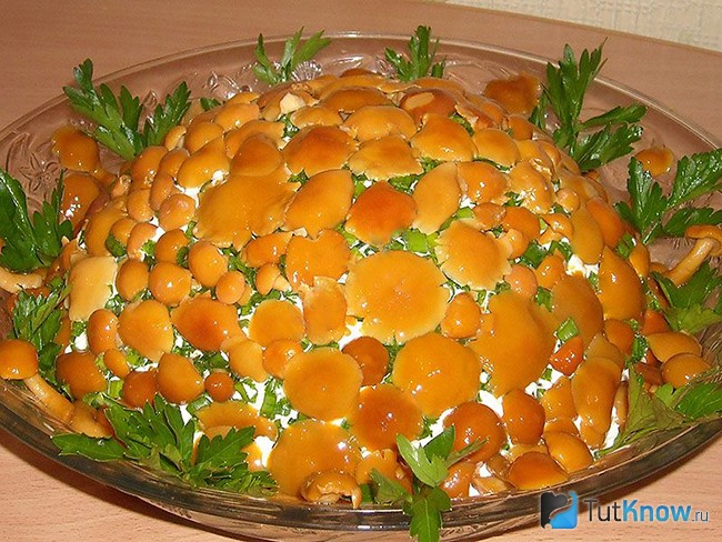 Салат грибная поляна с опятами