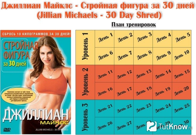 Схема программы Джиллиан Майклс для разных уровней