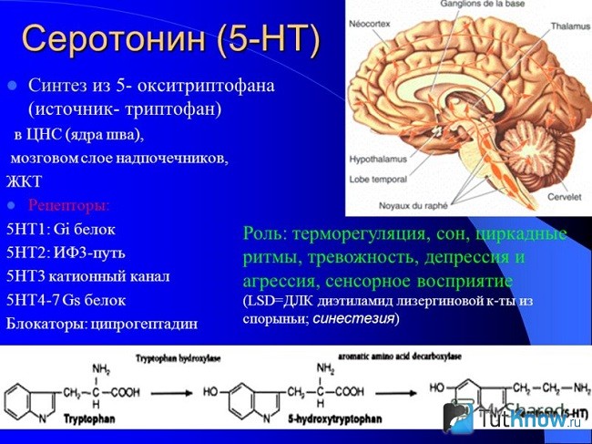 Справка о серотонине