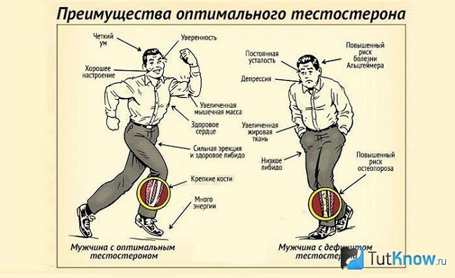 Повышенный и пониженный тестостерон