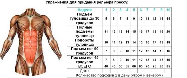Схема тренировок на рельеф пресса