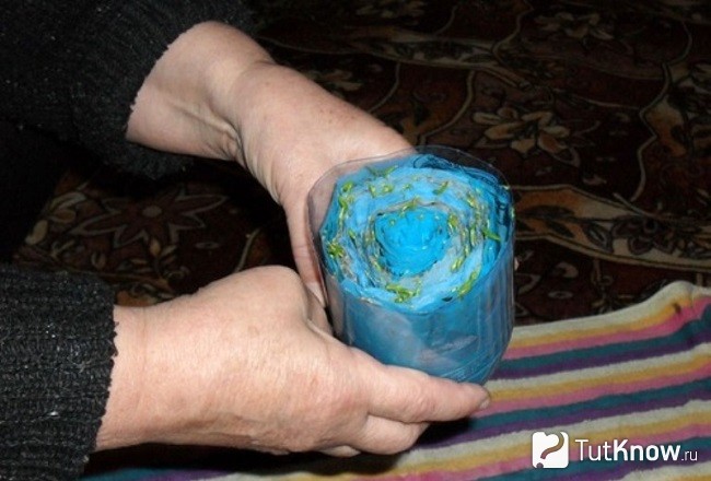 Улитка для рассады
