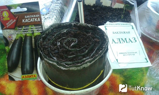 Формирование земляной улитки