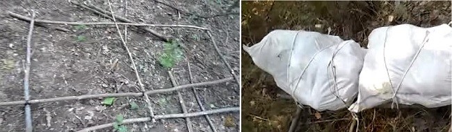 Каркас плота из веток