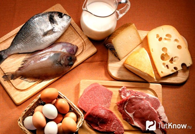 Продукты с содержанием белка