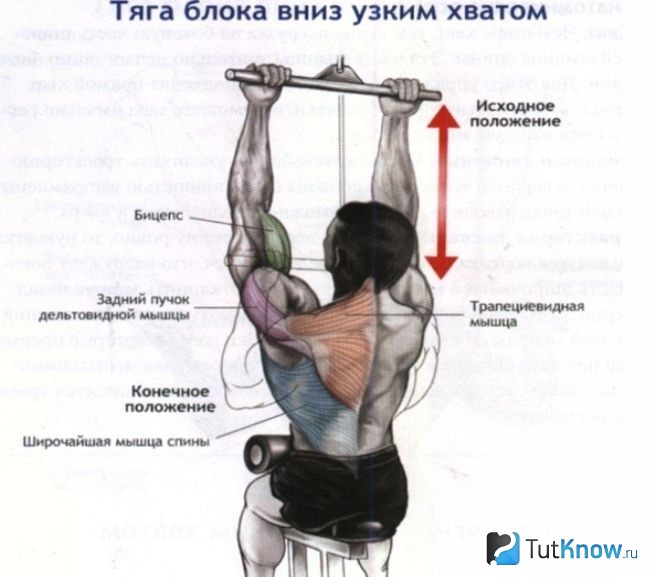 Техника выполнения тяги блока узким хватом