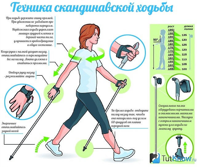 Техника скандинавской ходьбы