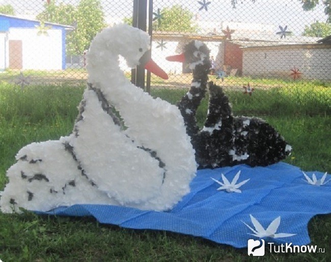 Лебедь на дачном участке