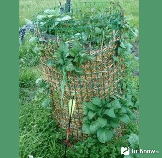 Башня с клубнем картофеля