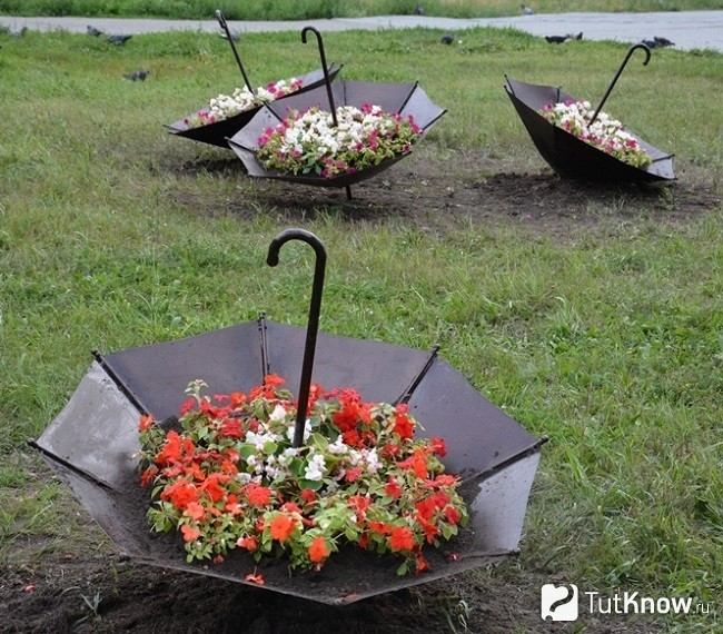 Несколько клумб-зонтов