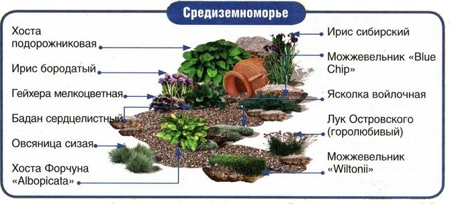 Схема высадки растений для средиземноморского стиля