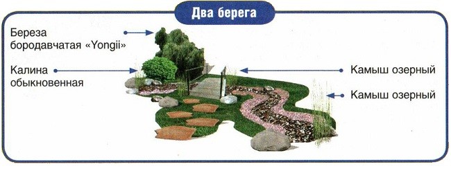 Схема высадки растений по типу двух берегов