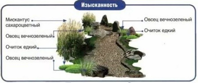 Схема высадки растений для изысканного ручейка
