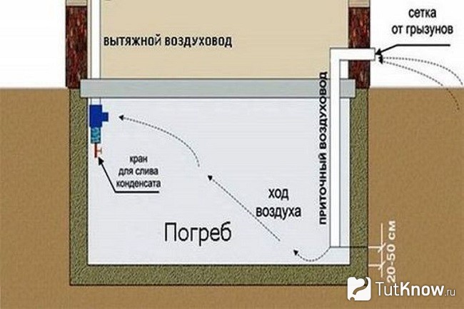 Схема оборудования погреба