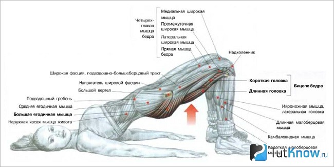 Изометрическое упражнение на ягодицы