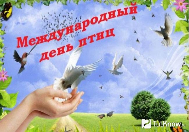 Международный День птиц