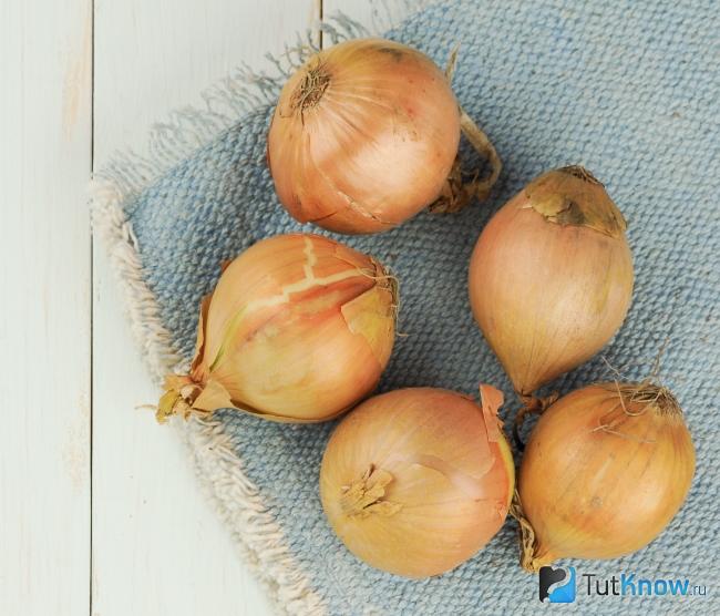 Лук для приготовления маски