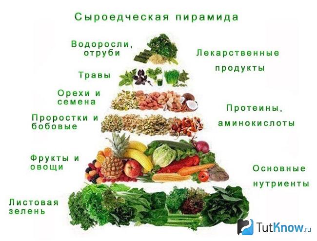Пирамида питания сыроеда