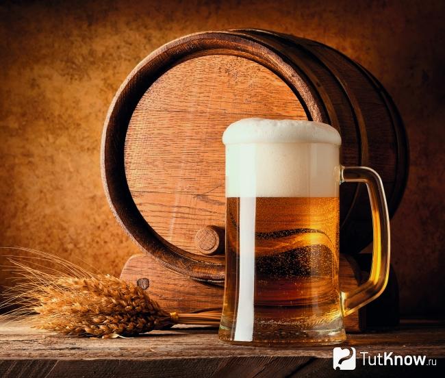 Пиво для приготовления шампуня
