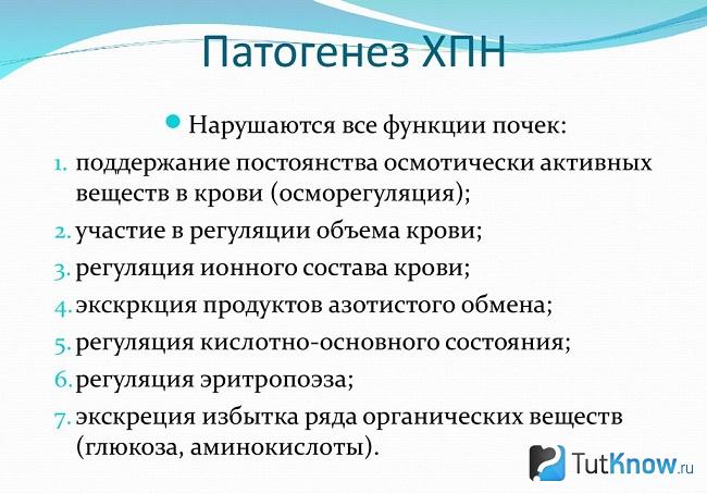 Патогенез хронической почечной недостаточности