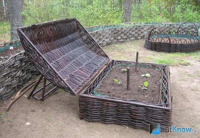 Грядка-сундучок из лозы