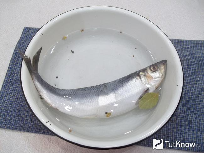 К пряностям налита вода и опущена селедка