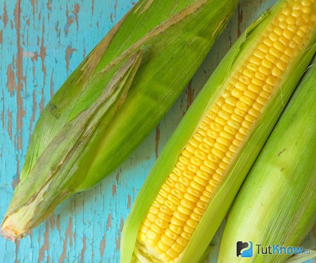 Початки сахарной кукурузы