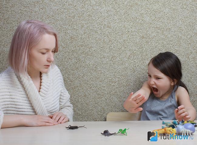 Моделирование с участием игрушечных насекомых