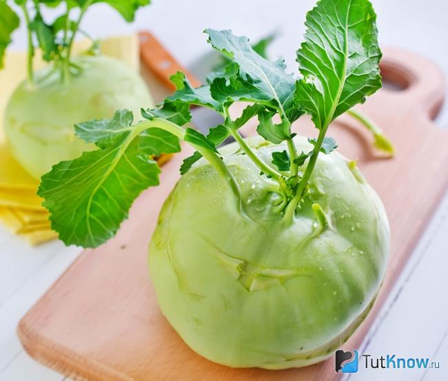 Овощ капуста кольраби