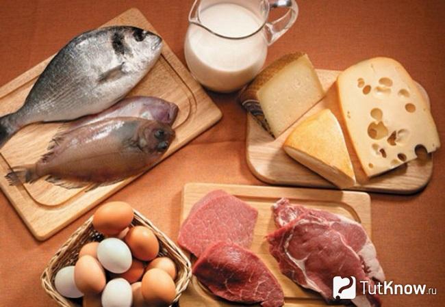 Мясо, рыба и молочные продукты