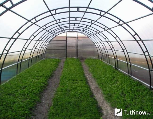 Арочная теплица из поликарбоната