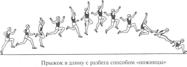 Схематическое изображение прыжка в длину с разбега