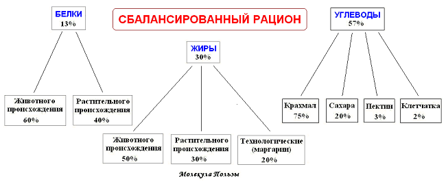Схематическое изображение нутриентов