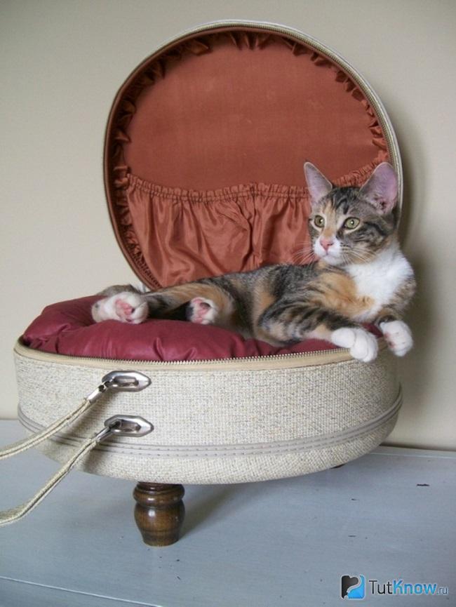 Круглая кошачья лежанка