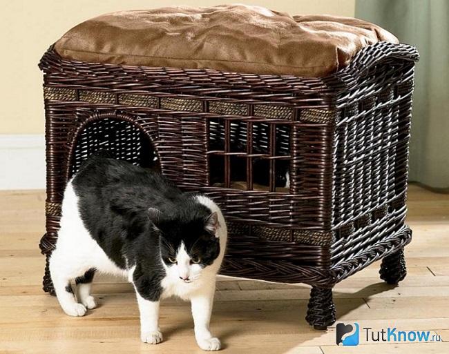 Кошачий домик из корзины
