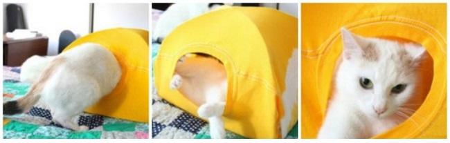 Кошка внутри желтого домика из футболки