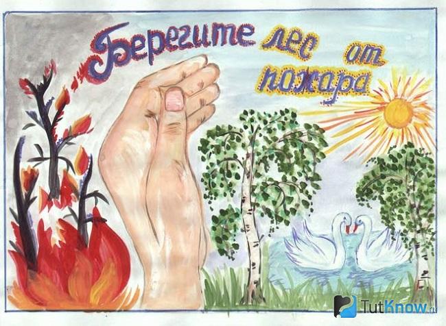 Рисунок, агитирующий беречь лес от пожара