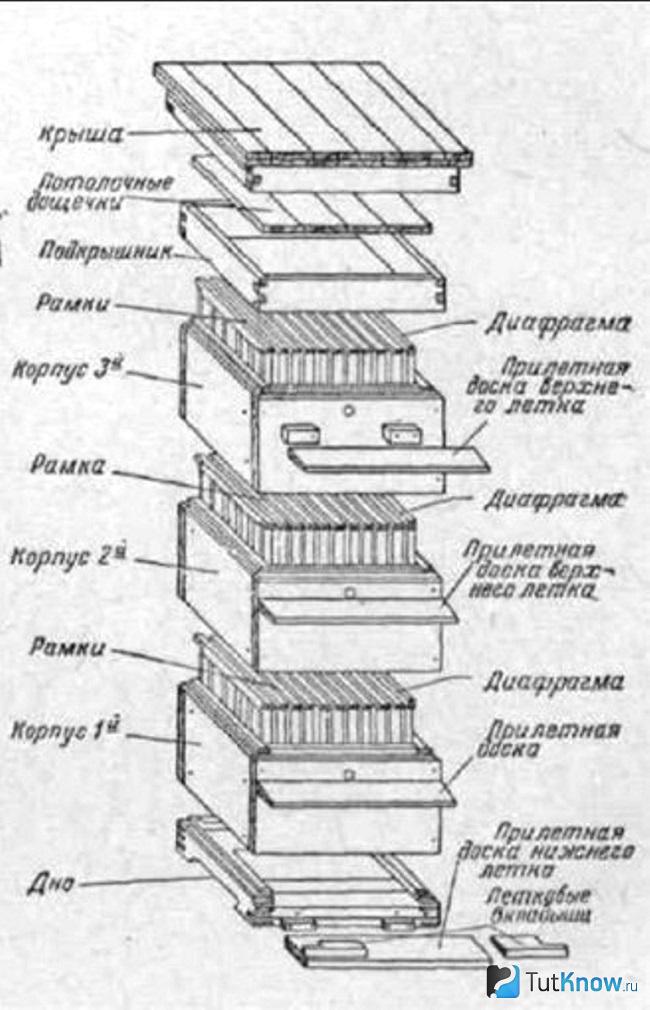 Чертеж многоярусного улья