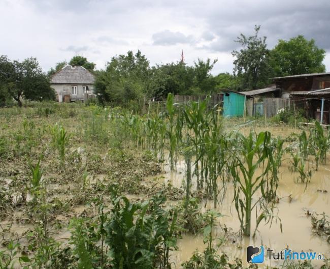 Высокий уровень воды на участке