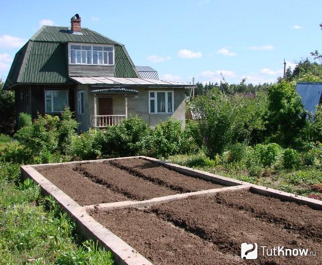 Ленточный фундамент под теплицу
