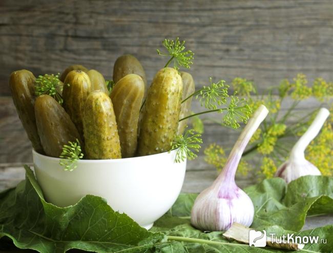 Маринованные огурцы как продукт, повышающий иммунитет