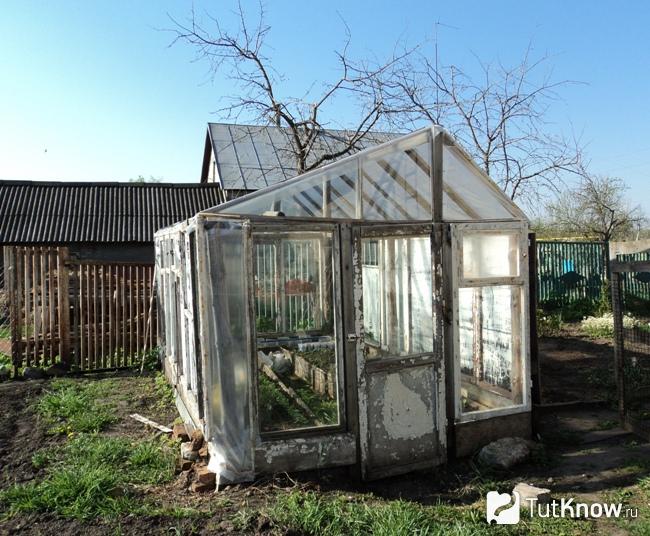 Старая обшивка теплицы из оконных рам