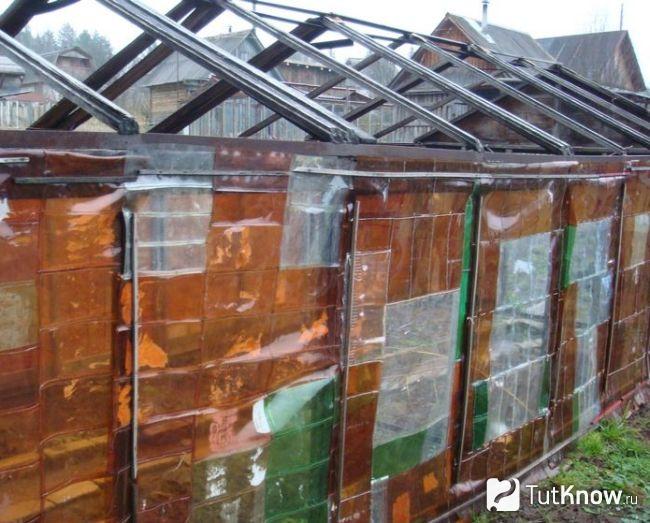 Стена теплицы из разрезанных пластиковых бутылок