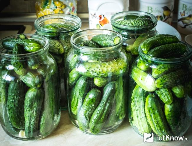 Приготовление маринованных огурцов
