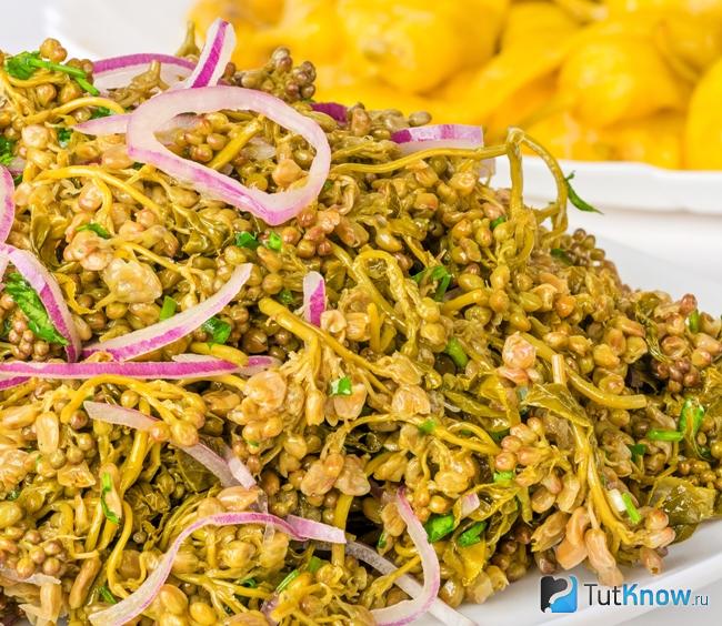 Маринованная джонджоли