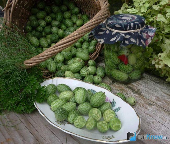 Маринованные огурцы мелотрия