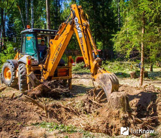 Корчевание пня на участке механическим способом
